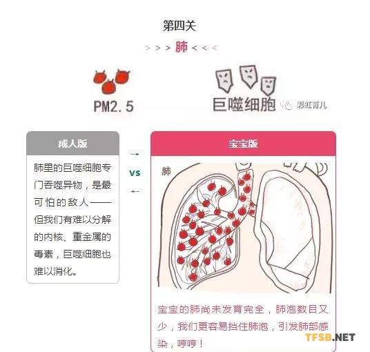 微信图片_20180327111332.jpg