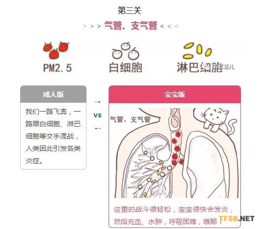 微信图片_20180327111329.jpg