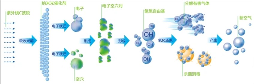 微信图片编辑_20250107114046